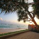 Фото отеля Haus am Meer \Wilde Ananas\