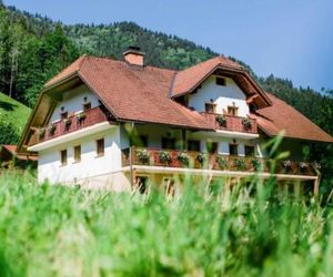 Country house - Turistična kmetija Ambrož Gregorc Solcava Slovenia