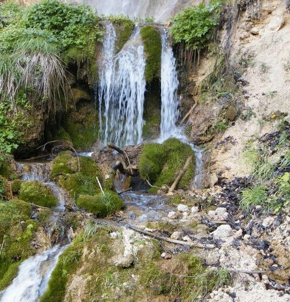صورة الفندق 11