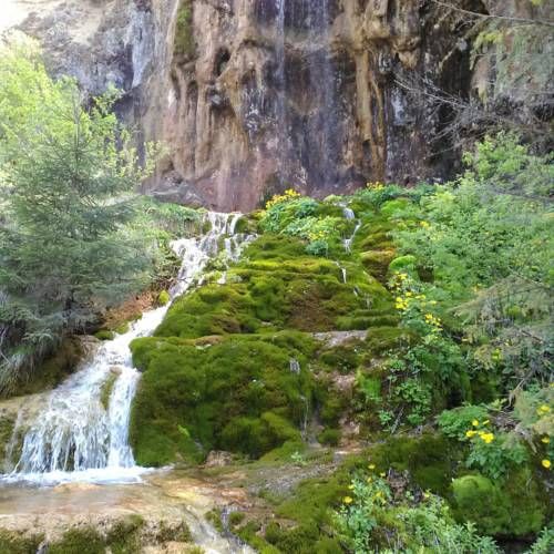 صورة الفندق 12