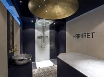 صورة الفندق 8