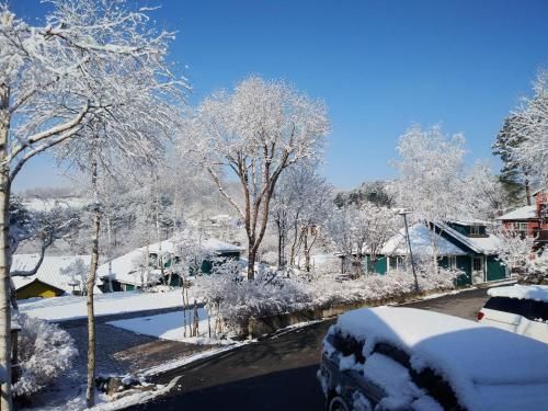 صورة الفندق 16