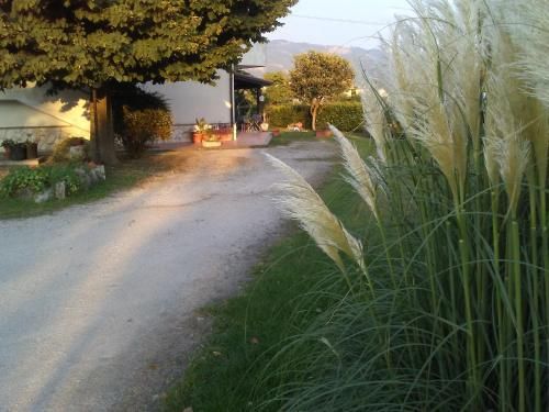 صورة الفندق 15