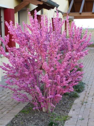 صورة الفندق 23