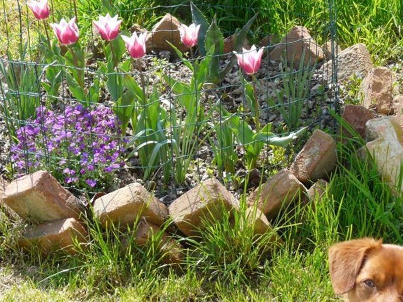 صورة الفندق 9
