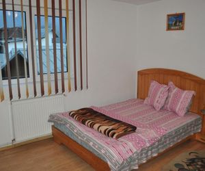 Vila Pitty Sinaia Romania