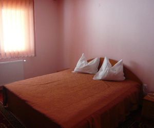 Vila David Sinaia Romania