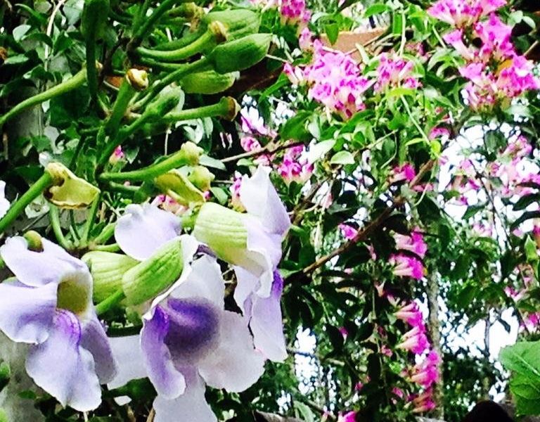 صورة الفندق 16