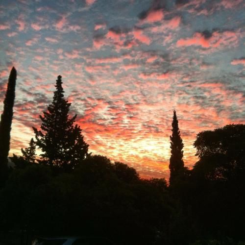 صورة الفندق 2