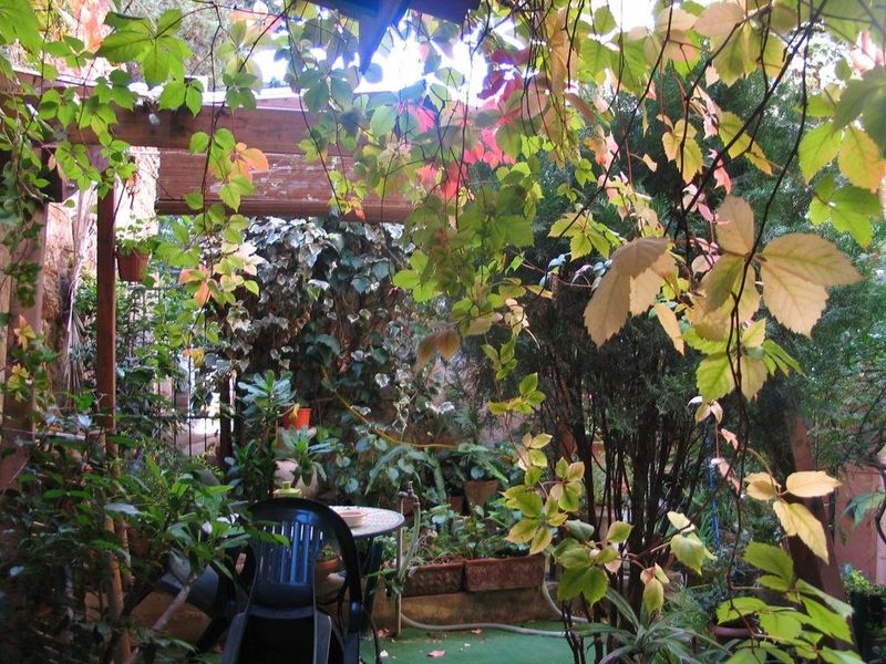 صورة الفندق 7