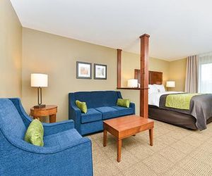 Comfort Inn & Suites- Rochester Rochester United States