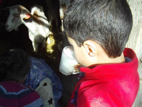 صورة الفندق 15