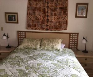 EKOMOMAI VACATION RENTAL Volcano Village United States
