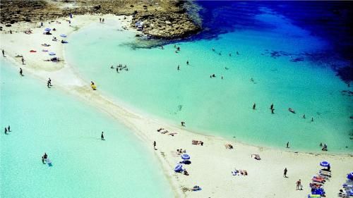 صورة الفندق 20