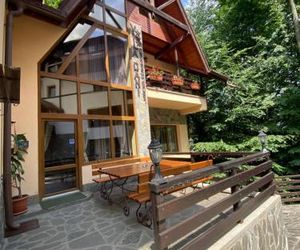Vila Dani Sinaia Romania