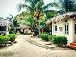 Фото отеля Caribbean Beach Cabanas - A PUR Hotel