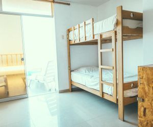 Frogs Chillhouse Hostel Huanchaco Peru