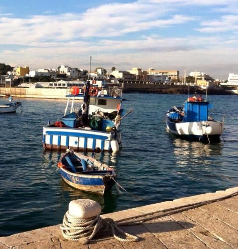 صورة الفندق 1