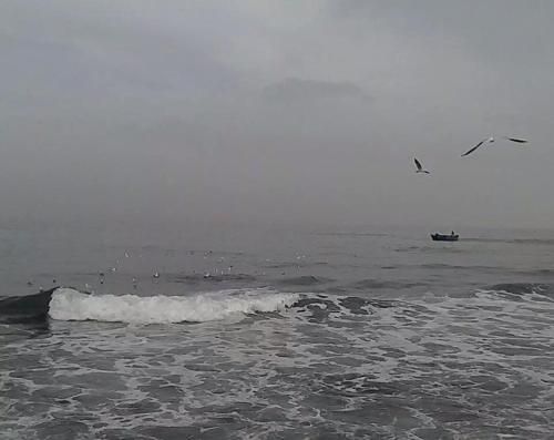 صورة الفندق 3