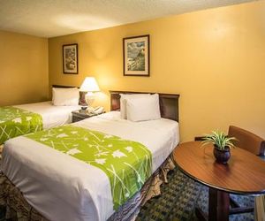 Econo Lodge - Kissimmee Celebration United States
