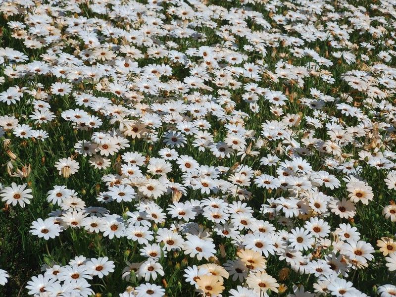 صورة الفندق 20