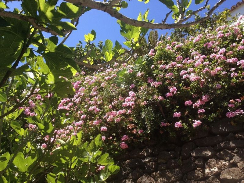 صورة الفندق 18