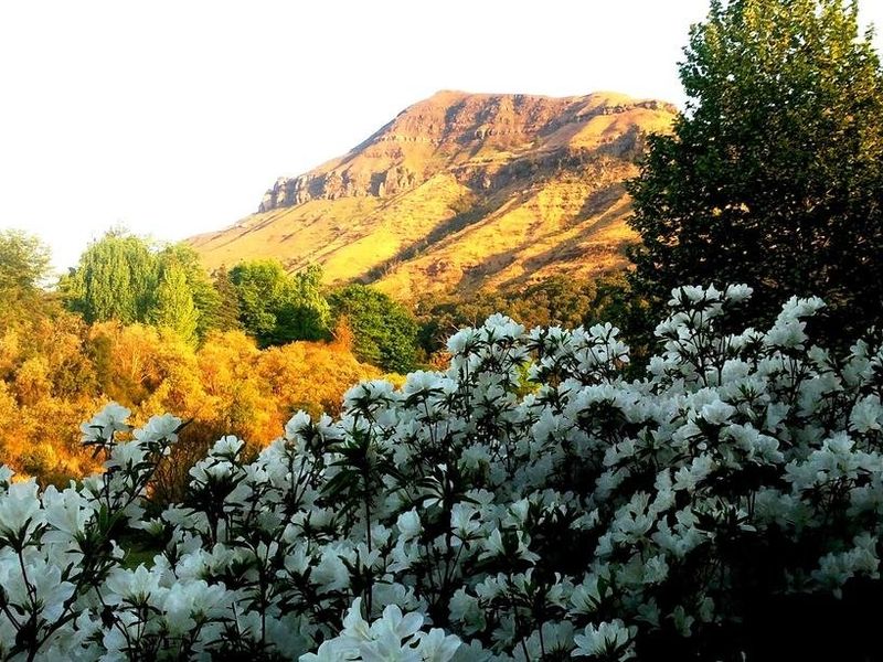 صورة الفندق 19