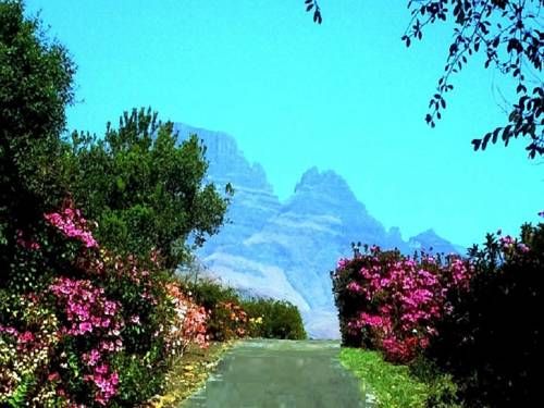 صورة الفندق 20