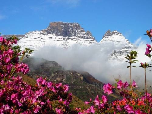 صورة الفندق 21