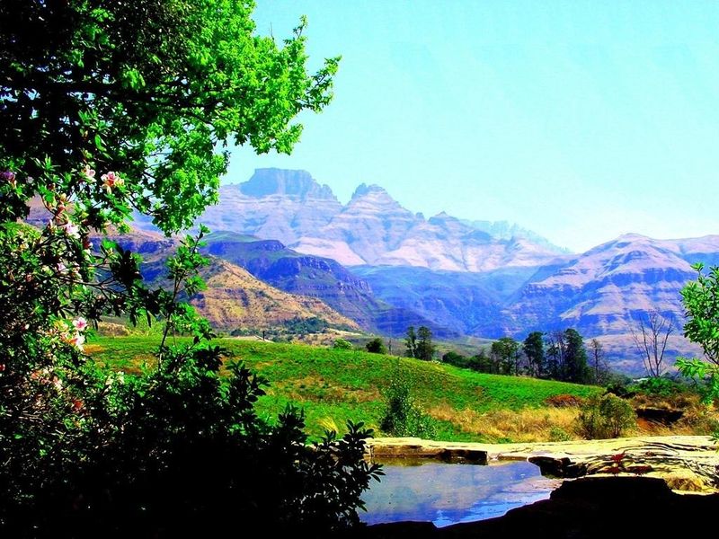 صورة الفندق 22
