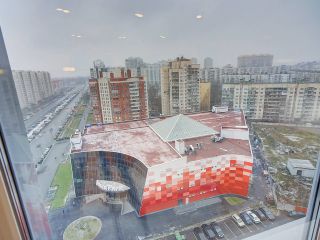 СуткиПетербург Просвещения