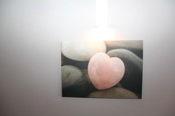 صورة الفندق 20