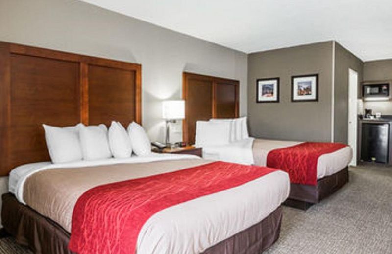 Comfort Inn Sandy Springs – Perimeter