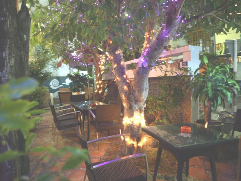 صورة الفندق 21