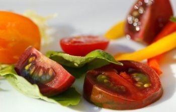 صورة الفندق 17