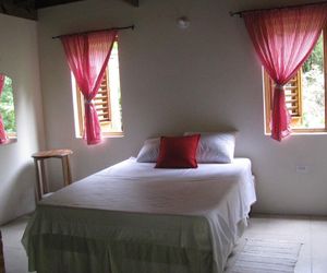 Blue Mountain Loft Kingston Jamaica