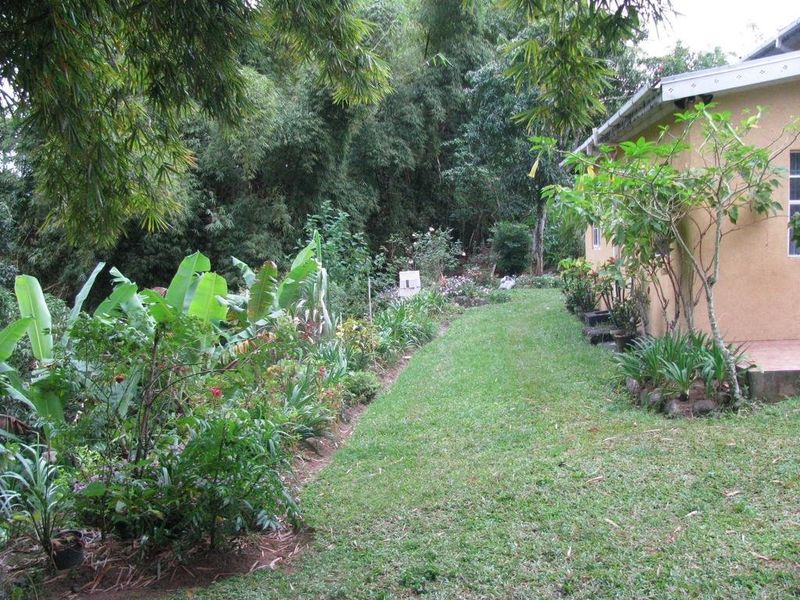 صورة الفندق 8