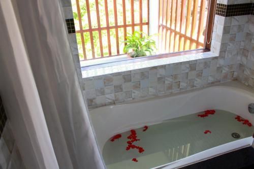 صورة الفندق 8
