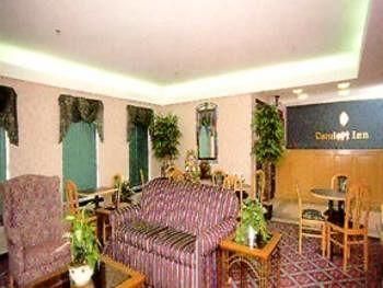 صورة الفندق 6