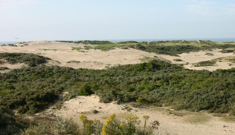 صورة الفندق 20