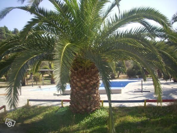 صورة الفندق 7