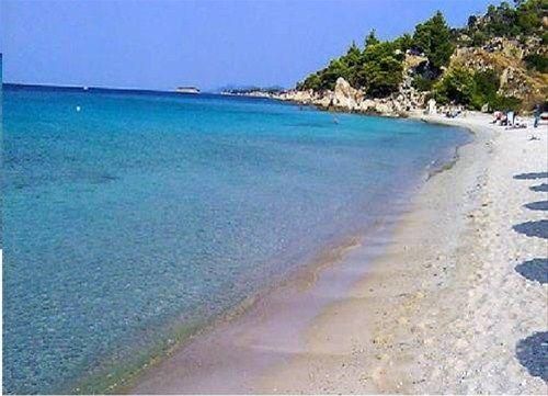 صورة الفندق 8