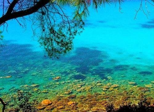 صورة الفندق 9