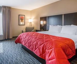 Greenstay Inn & Suites Court View Springfield United States