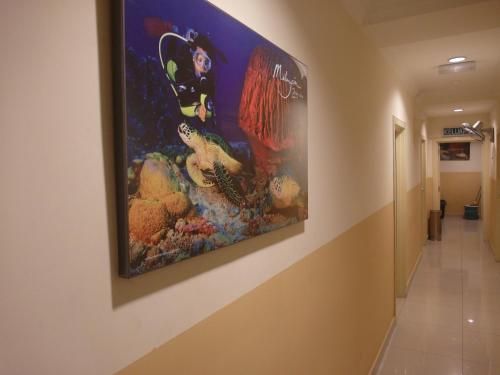 صورة الفندق 8