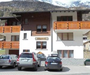 Apartment Silberdistel (SGF6100) Saas Grund Switzerland