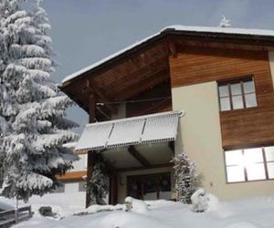 Arnika Montana Schutterle Breil Switzerland
