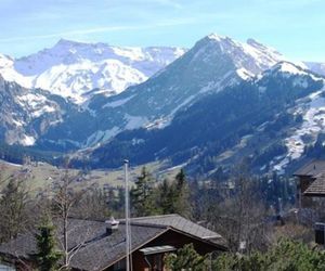Zwahlen 2 Dachwohnung Adelboden Switzerland