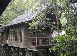 Фото отеля Permai Rainforest Resort