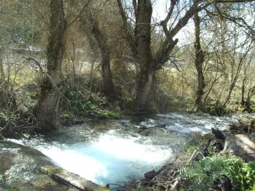 صورة الفندق 7